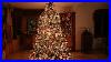 Building_The_Most_Beautiful_Christmas_Tree_Time_Lapse_01_azt