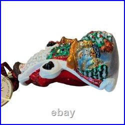 Christopher Radko A Gift of Nature Santa Ornament Limited Edition 993/1224 Handc Christopher Radko A Gift of Nature Santa Ornament Limited Edition 993/1224 Handc