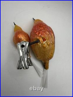 Christopher Radko Birds Of A Feather Clip-On Bird Ornament HTF Christopher Radko Birds Of A Feather Clip-On Bird Ornament HTF