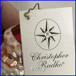 Christopher Radko Express Request Santa Glass Christmas Ornament 6 READ Rare