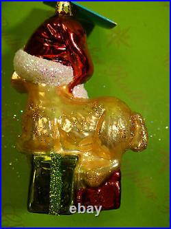 Christopher Radko Golden Dreamer Glass Ornament