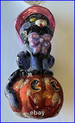 Christopher Radko Halloween Glass Ornament Spellbound Black Cat Pumpkin