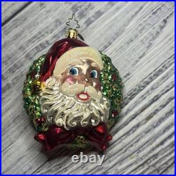 Christopher Radko Mouth Blown Glass Christmas Ornaments Lot of 17 WithPlastic Box