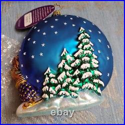 Christopher Radko Santa Christmas Ornament into the starry night 1016615 2013NWT