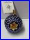 Christopher_Radko_Star_Berry_01_0321_0_Christmas_Ornament_New_Rare_G_01_qrz
