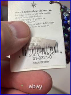 Christopher Radko Star Berry 01-0321-0 Christmas Ornament New Rare G