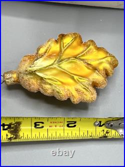 Christopher Radko Vintage Autumn OAK Leaf Ornament Case 12 /GOLD NIB RARE