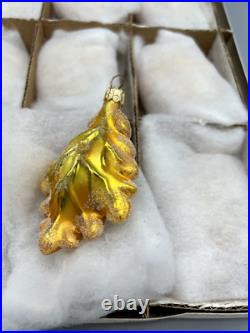 Christopher Radko Vintage Autumn OAK Leaf Ornament Case 12 /GOLD NIB RARE