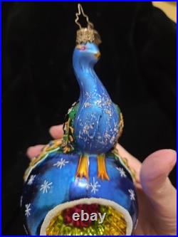 Christopher Radko's In Living Color Blown Glass Peacock Reflector Ornament