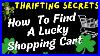 Little_Known_Thrifting_Secrets_How_To_Find_A_Lucky_Shopping_Cart_01_rp