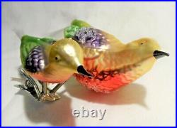 Radko 1995 BIRDS OF A FEATHER Vintage RAREl Two Birds Clip Ornament NEW withTag